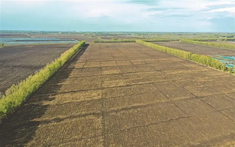 农村征用耕地每亩补偿多少钱  教育用地征地耕地一亩怎么赔偿标准明细