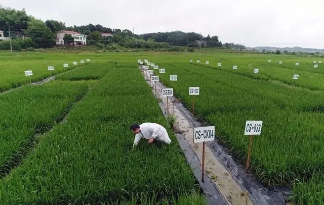 土地征收补偿标准2022年  苏州市最新土地补偿和安置补助费标准