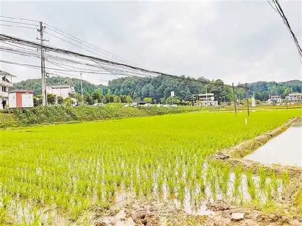 拆迁房屋的赔偿标准  城市道路建设占地征收耕地怎么赔偿