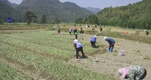 征地补偿不合理投诉电话  政府储备用地征收水田一亩赔偿款是多少